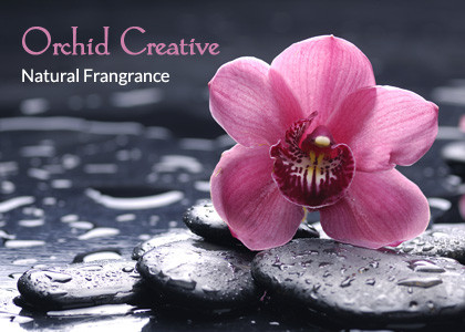 Bella Gift Spa Line